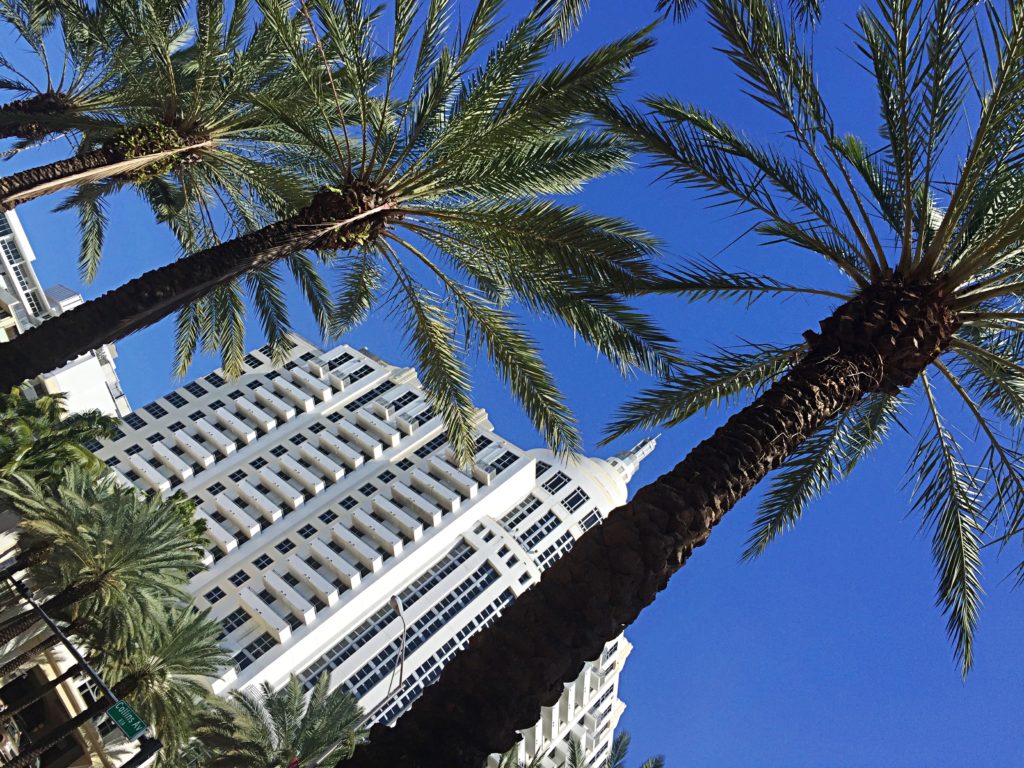 I AM MOVING TO MIAMI